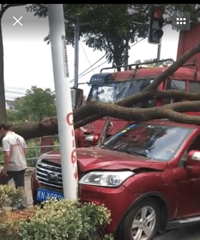 ��������ƽ���������س��� ��С������ײ