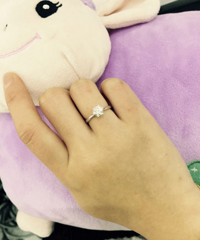 �ҵļ���צ ���������������� ������