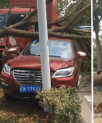 ��������ƽ���������س��� ��С������ײ