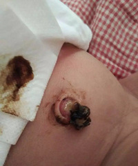 ����12���� ��������е㷢�� ��ŧ����