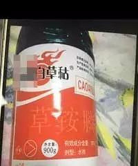 ���� 9 ���µ�ʱ����������ũҩ��ȴ����