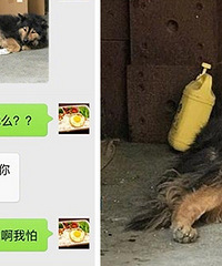 ����С������� �������Ǯ����Ҫ����