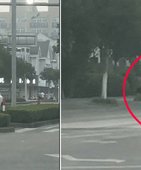 ʲô��ĳ���ӽ���һ�˰��ڵ��ϱ���