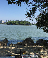 �Դ��Ϻ�����Ӿ�ͽ������ һƬ�徲...