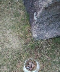 ����һ��԰�ص���� ��©��Σ��