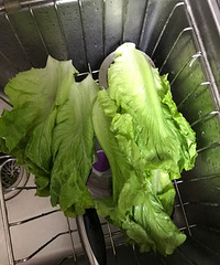 ������������������һ�ſ���ɫҩ�� ���Ѿ�˵����...