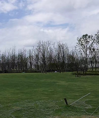 ���������������ô����~�滮�ݺ����Ҫ����