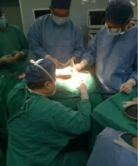 ��Ŀ���ģ��㽭7���к����ھӼҵĹ�ҧ��������Ѫ������50���룡