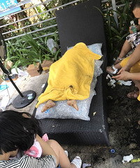 �������С����С����Ӿ����Ӿ һʱûע�� ����������