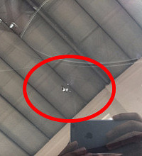 ���粣���������ѷ� Ҫ��ô��