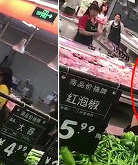 ����ĳ�̳�5Ů��ս ���˵����±����¡�