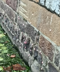 �ܼ��־�֢���㣡�к����긣��������ǽ��