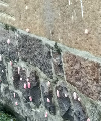 �ܼ��־�֢���㣡�к����긣��������ǽ��