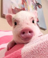 89��Ů�� ���Ҹ��з��г�������20+����ƱҪ��̫����