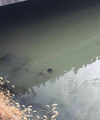 ͻ�������꽨��ʥ���Ÿ�������һ��ʬ