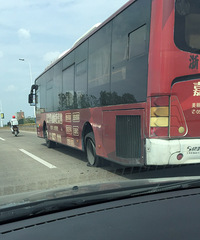 �ֳ������ʹ��Ź�������̥��³���