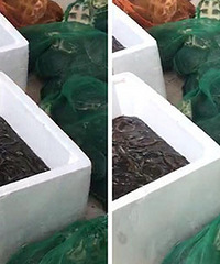 ���ģ�����Ȧ�����������Ϻ����� ���л�����...