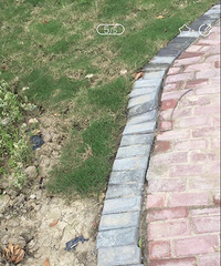 ����һԺͣ�������� ������������