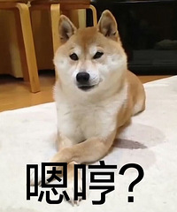 Ů���ý����200�����к��ؼ� ����������Ÿ�ĸ������