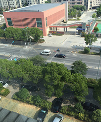 �飡����Сѧ�ſ���׷β��