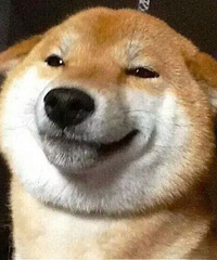 ȥ������200W��û�򵽷� ���꾲���Ĺ���