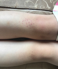 ϥ������С���� ��ͻ�� ������Ƥ��