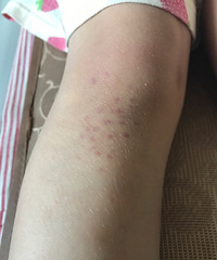 ϥ������С���� ��ͻ�� ������Ƥ��