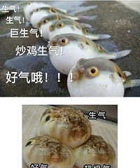 ȥ�ϵ»�������������ȫ��Ű�� �ɴ����̲�ס�����ֱ���