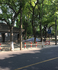 ����P��־�ĵط�ͣ�� ����һ�����Ǳ����˷���