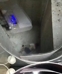 ʹ�ģ�6���к������̳����ݾ�������δ����Σ�գ�