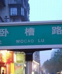 �Ҹ߿����˶����� ȴΪ��ֻ�����ı����� ѡ��һ��߸���