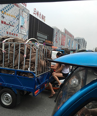 �����ˣ�����ĳ�շ�վÿ�컨ʽ�³���