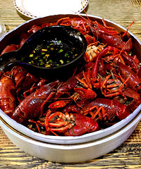 �ҳԵ��˸���С��Ϻ��������