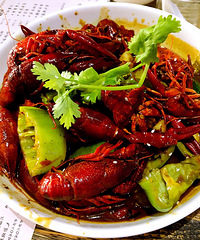 �ҳԵ��˸���С��Ϻ��������