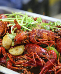 ɹ������ʮ��Ҳ���ܷ�����ҹ���� ��Ȼ����Ӯե֭����