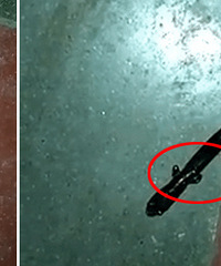 ���֡��Ľ��ߡ������ѣ��Ϲſ�������