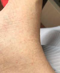 ��33�ܿ�ʼ���� ������ ���������ۣ�