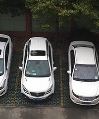 ��f**k˵ ���ǵ���ôͣ����