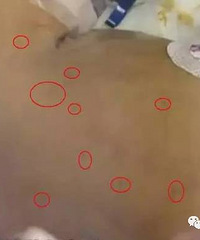 �ճ���4���Ӥ�����϶�����ף�����ľ����װ�