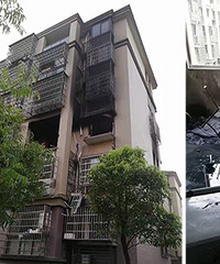 �Ҹ���԰��ȼ������������Ԫ12���˼�ȫ�����꣡