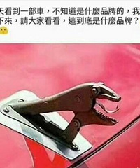 ˭�ǳ��񣿲²�����ʲô����