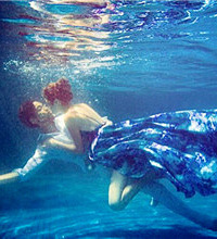 27��MM ��ҵ��λ �����п�