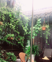 ��ĩ�˵��ºӳԳԵ��������� �����Ĳ��ң�