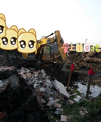 ��ͼԤ�����Ҽҵ�ũ���Խ�������100��ľ׮ �Ͳ��ݶ���