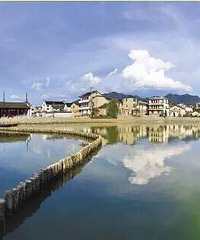 �ܲ�������һ�Σ���һ�Σ�