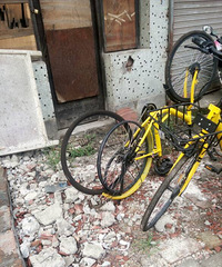 OFO�����е���������Ʊ��� ��̥Ҳ��ж�ˣ�