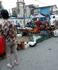 �Ͻ�̯�������  ���غ�����һ����ɢ��