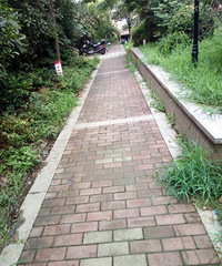 �����ˣ�С���̻����Ӳݴ��� ���滹�ܳ����߰���Ů��ҧ��