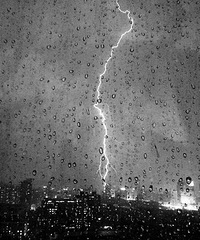 ����õ��Լ�