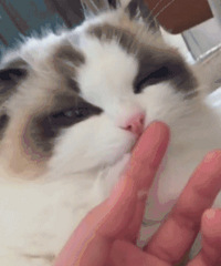 ������Ǯû�˴��ֽ� �ϰ������ͳ�˽��Ǯ�������Ǳ���